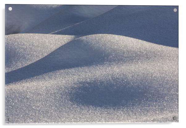 snow shadow Acrylic by Thomas Schaeffer