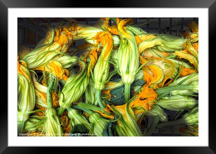 Fresh courgettes or zucchini flowers Framed Mounted Print by Frank Bach
