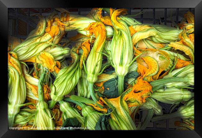 Fresh courgettes or zucchini flowers Framed Print by Frank Bach