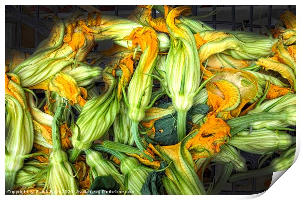 Fresh courgettes or zucchini flowers Print by Frank Bach