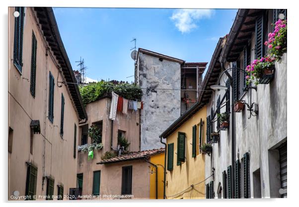 Lucca, Tuscany, Italy. Streets Acrylic by Frank Bach