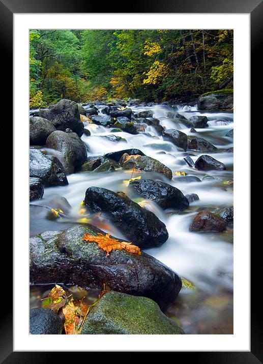 Flow of Autumn Framed Mounted Print by Mike Dawson