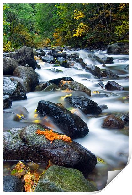 Flow of Autumn Print by Mike Dawson