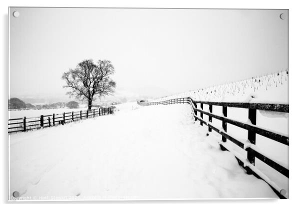 A Winters Walk Acrylic by Heidi Stewart