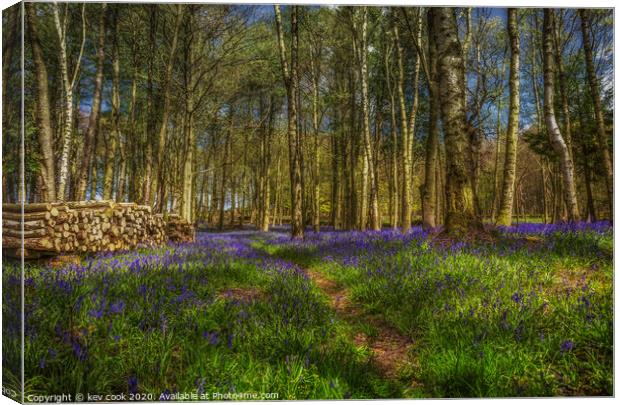 Bluebell logging Canvas Print by kevin cook