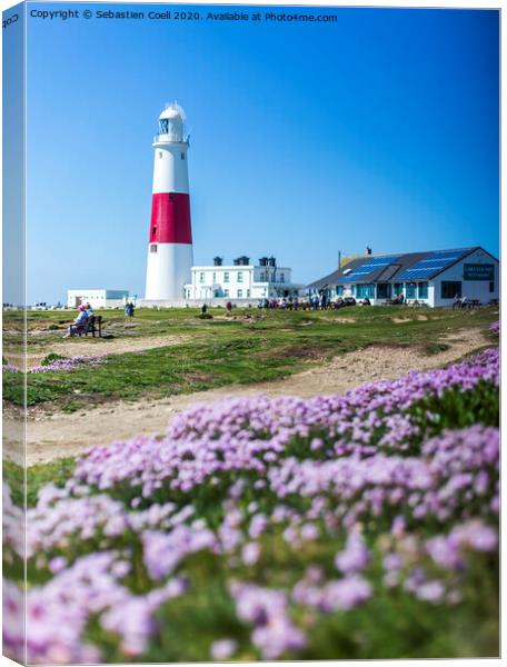 Portland Bill Dorset Canvas Print by Sebastien Coell