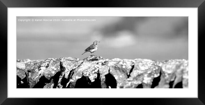 Meadow Pipit on stone wall Framed Mounted Print by Karen Roscoe