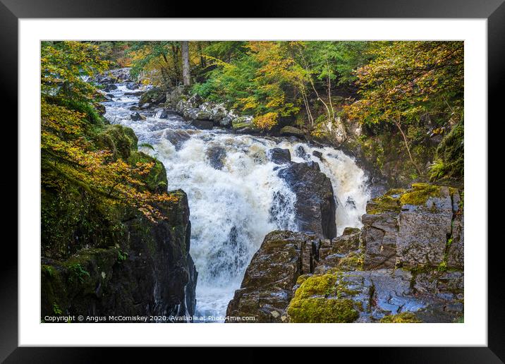 Black Linn Waterfall at the Hermitage in autumn  Framed Mounted Print by Angus McComiskey