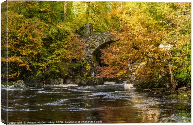 Stone bridge over River Braan at the Hermitage  Canvas Print by Angus McComiskey