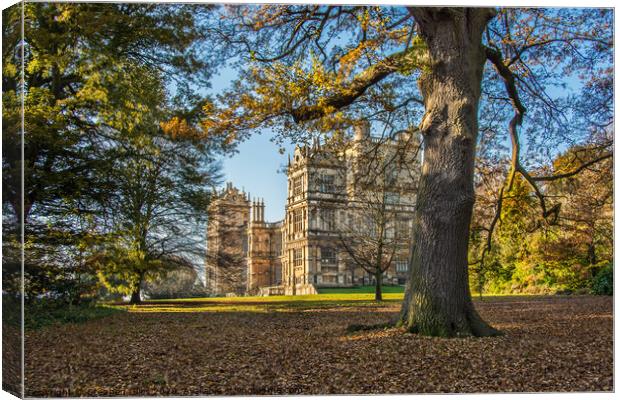 Wollaton hall Canvas Print by Stephen Giles