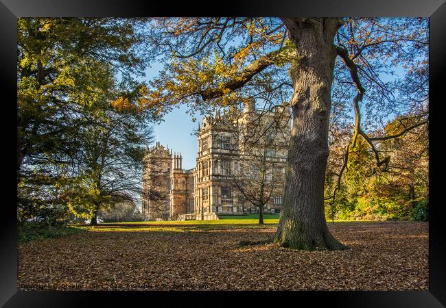 Wollaton hall Framed Print by Stephen Giles