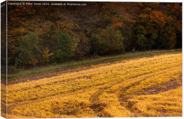 A field in Autumn. Canvas Print by Peter Jones