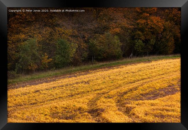 A field in Autumn. Framed Print by Peter Jones