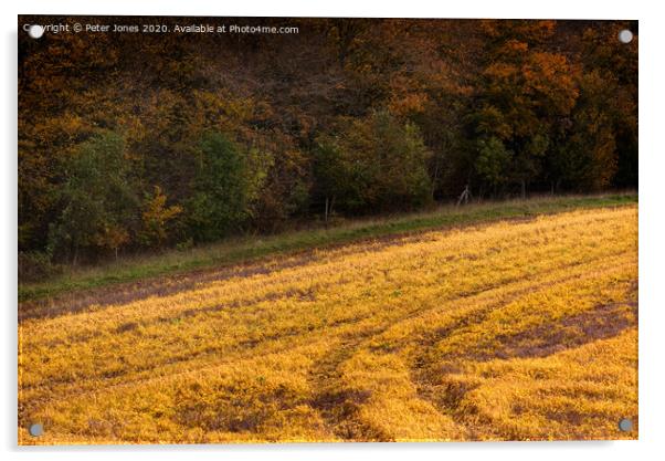 A field in Autumn. Acrylic by Peter Jones