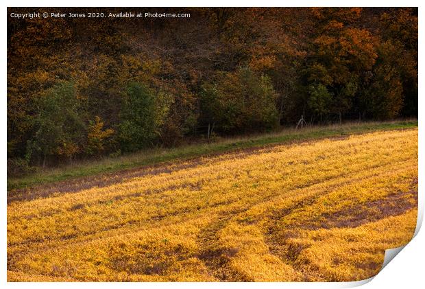 A field in Autumn. Print by Peter Jones