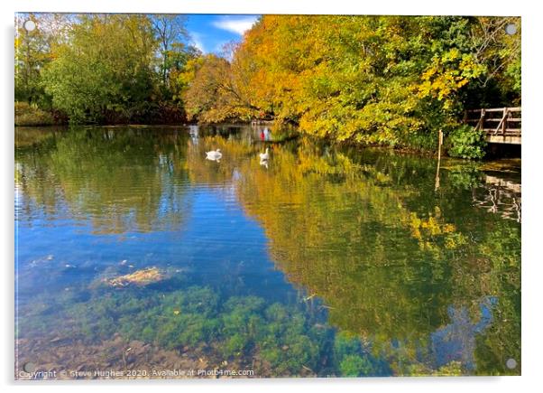 Lake at Clandon Park Acrylic by Steve Hughes