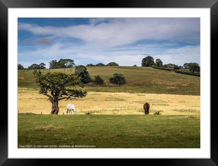 pony land Framed Mounted Print by kevin cook