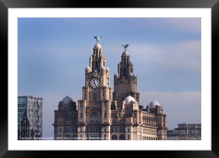 Liver Building, Liverpool Framed Mounted Print by Peter Lovatt  LRPS