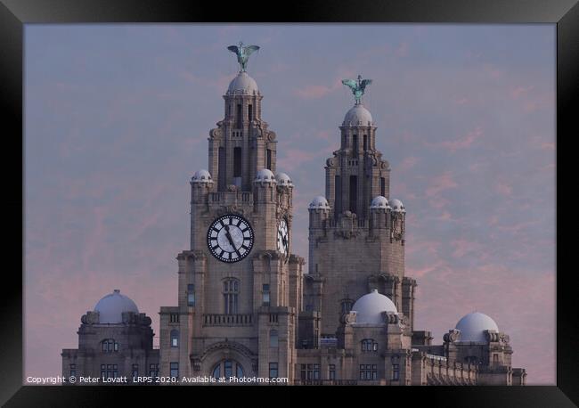 Liver Building, Liverpool Framed Print by Peter Lovatt  LRPS