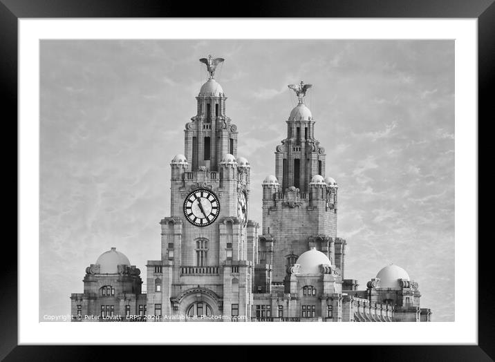 Liver Building in Monochrome Framed Mounted Print by Peter Lovatt  LRPS
