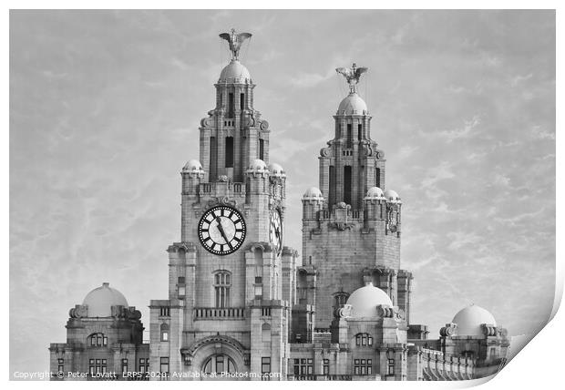 Liver Building in Monochrome Print by Peter Lovatt  LRPS