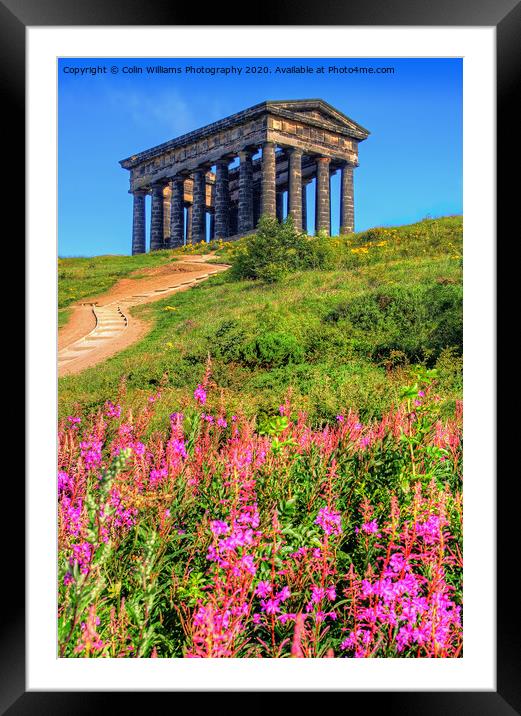 Penshaw Monument  2 Framed Mounted Print by Colin Williams Photography