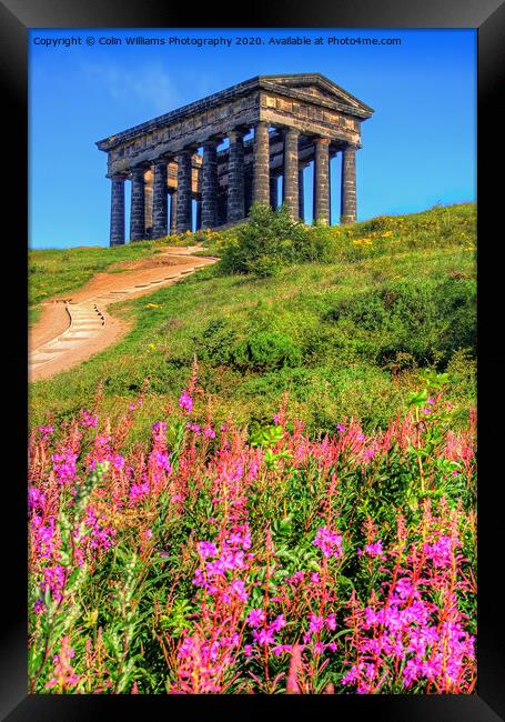 Penshaw Monument  2 Framed Print by Colin Williams Photography