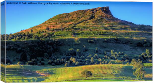 Roseberry Topping North Yorkshire 2 Canvas Print by Colin Williams Photography