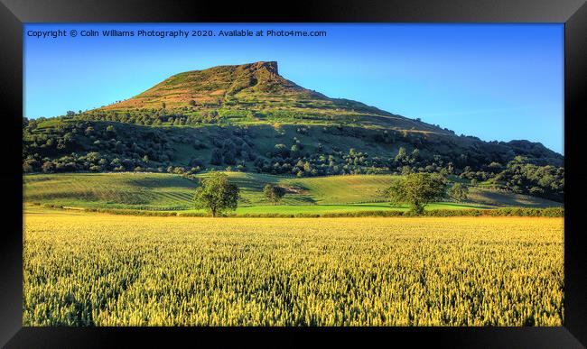 Roseberry Topping North Yorkshire 3 Framed Print by Colin Williams Photography