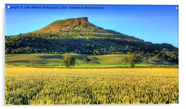 Roseberry Topping North Yorkshire 3 Acrylic by Colin Williams Photography