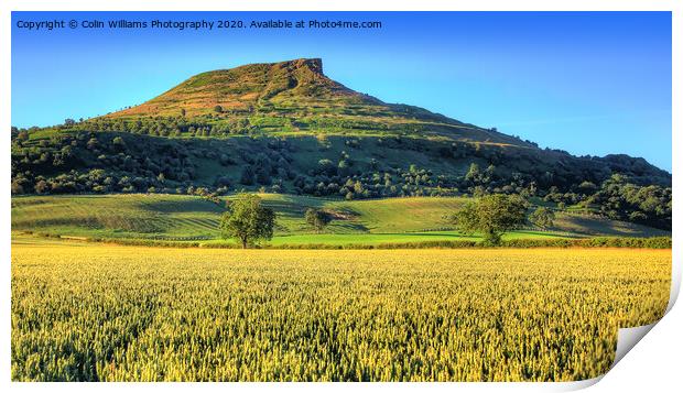 Roseberry Topping North Yorkshire 3 Print by Colin Williams Photography
