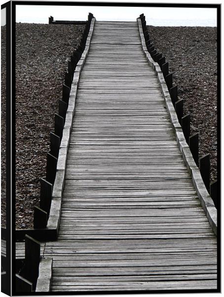 Pathway to the edge of the earth Canvas Print by susan potter