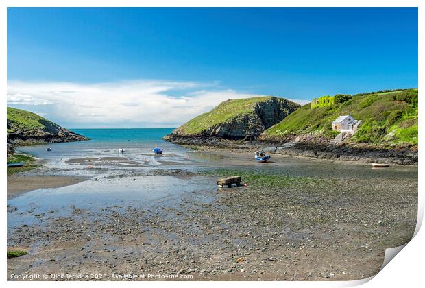 Beach at Abercastle in the Pembrokeshire Coast Nat Print by Nick Jenkins