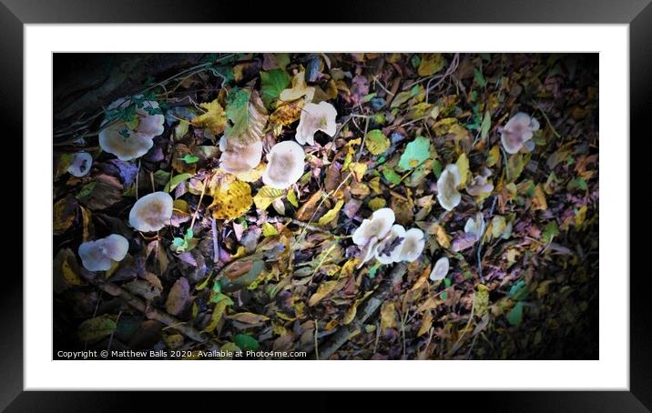 Mushroom Vertigo Framed Mounted Print by Matthew Balls