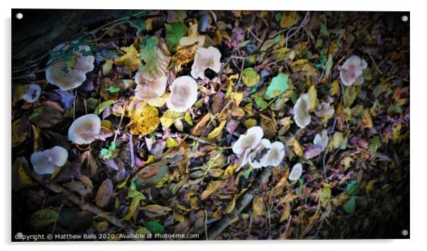 Mushroom Vertigo Acrylic by Matthew Balls