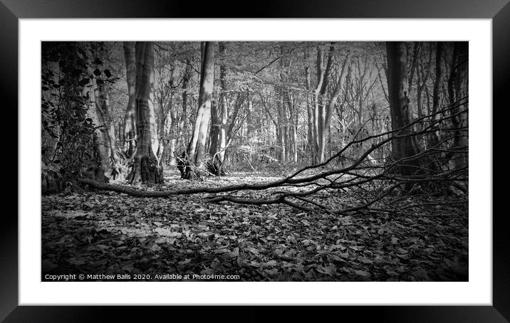 In the woods some where Framed Mounted Print by Matthew Balls