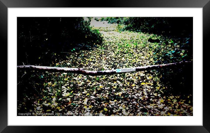 Abstract Autumn Pathway Framed Mounted Print by Matthew Balls