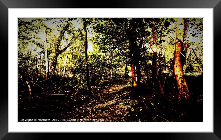Colourful Woods in Autumn Framed Mounted Print by Matthew Balls