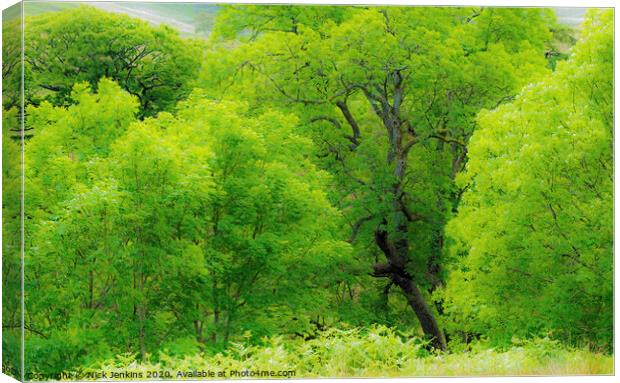 Ash Tree Wood in Rhondda Valley South Wales  Canvas Print by Nick Jenkins
