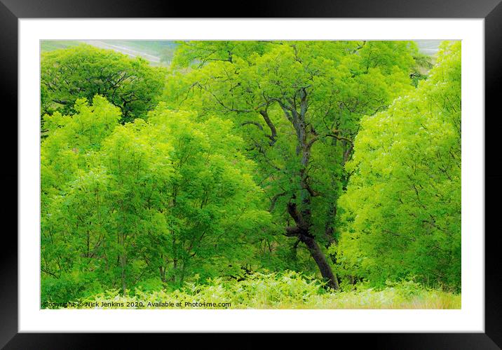 Ash Tree Wood in Rhondda Valley South Wales  Framed Mounted Print by Nick Jenkins