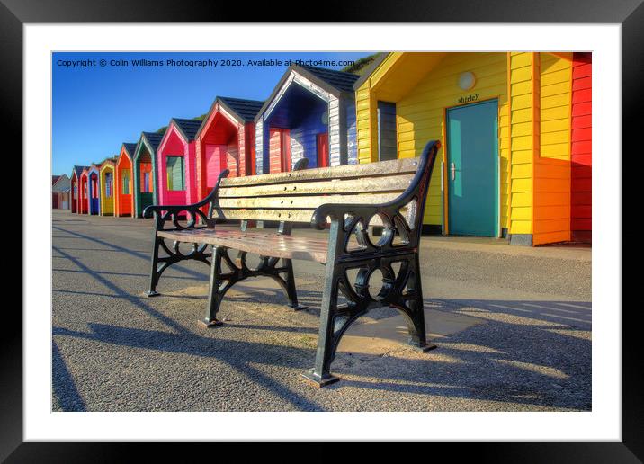 Beach huts at Saltburn-by-the-Sea 2 Framed Mounted Print by Colin Williams Photography