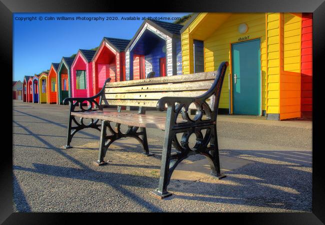 Beach huts at Saltburn-by-the-Sea 2 Framed Print by Colin Williams Photography