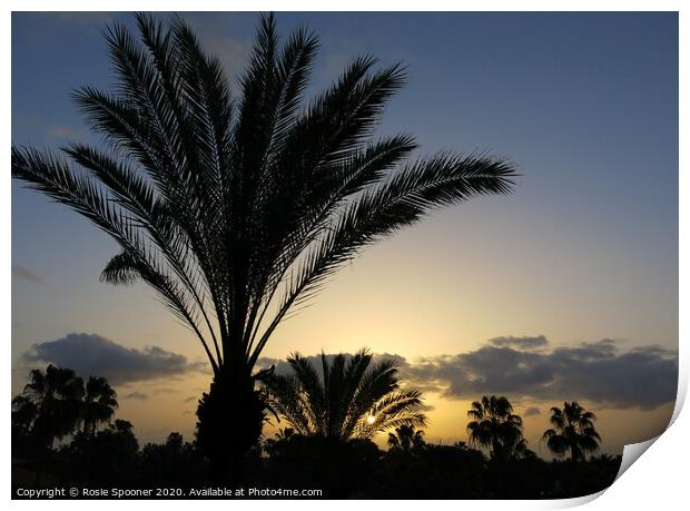 Palm Trees at Sunset Print by Rosie Spooner