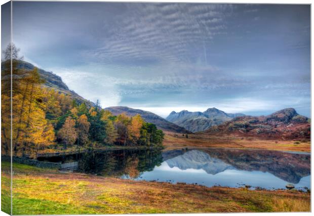 Langdale Pikes from Blea Tarn Canvas Print by David Stanforth
