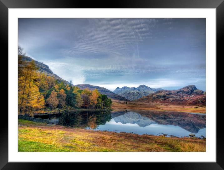 Langdale Pikes from Blea Tarn Framed Mounted Print by David Stanforth