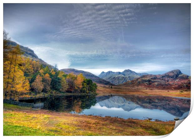 Langdale Pikes from Blea Tarn Print by David Stanforth