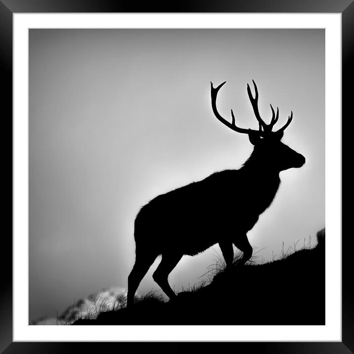 Red Deer Stag Silhouetted Framed Mounted Print by Derek Beattie