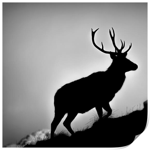 Red Deer Stag Silhouetted Print by Derek Beattie