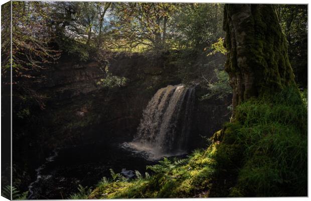Dalcairne falls Canvas Print by Chris Wright