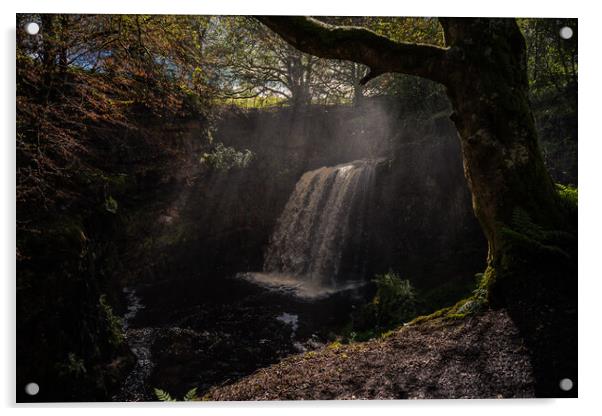 Dalcairnie Falls Acrylic by Chris Wright